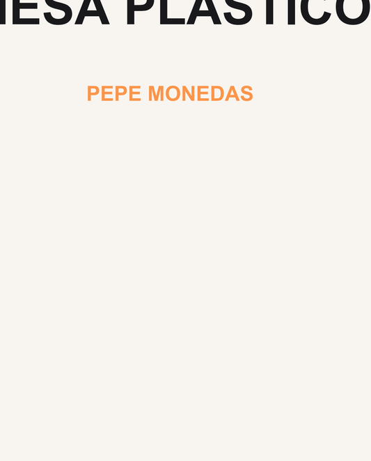 Silla Plegable Plástico Duro Negra - Pepe Monedas